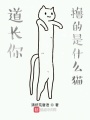 道長你擼的是什么貓