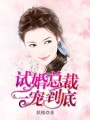 試婚總裁一寵到底
