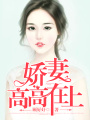 嬌妻高高在上