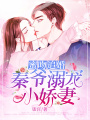 蜜吻追婚：秦爺溺寵小嬌妻