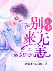 盛寵嬌妻：陸少，別來無恙