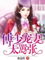 傅少寵妻太囂張