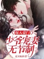 嫁入豪門：少爺寵妻無節制！