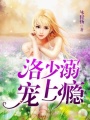 駱少寵妻上癮