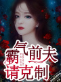 顧少寵妻如命