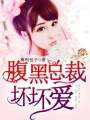 腹黑總裁壞壞愛