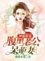 神秘甜寵：腹黑老公呆萌妻