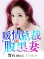 暖情總裁腹黑妻