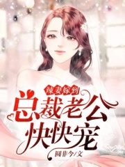 辣妻嫁到：總裁老公快快寵