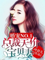 婚寵NO.1：總裁天價寶貝妻
