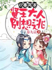 歡喜冤家：賢王大人別想逃