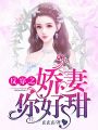 反穿之嬌妻你好甜