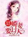 寵妻108式：嬌妻要上天