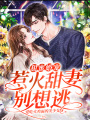 甜蜜婚寵：惹火甜妻別想逃
