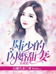 一寵成癮：陸少的閃婚甜妻