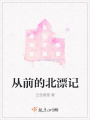 從前的北漂記