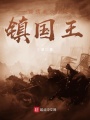 錦繡未央之鎮國王