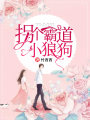拐個霸道小狼狗