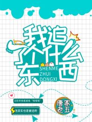 我追了個什么東西？