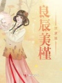 良辰美槿鳳求凰