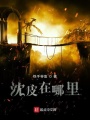 沈皮在哪里