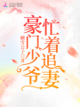 豪門少爺忙著追妻