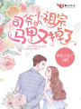 司爺?shù)男∽孀隈R甲又掉了