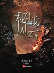 秘戰風云