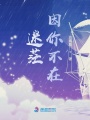 迷茫因你不在