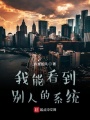 我能看到別人的系統