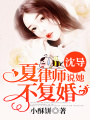 沈導，夏律師說她不復婚