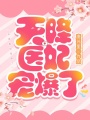 天降醫妃寵爆了