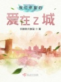 我們停留的愛在Z城