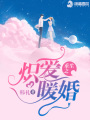 重生之炽爱暖婚