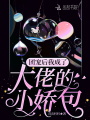團寵后我成了大佬的小嬌包