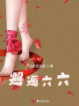 邂逅六六