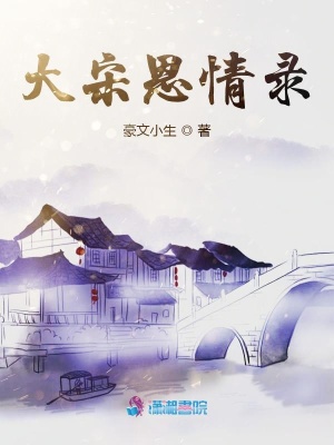 大宋恩情錄