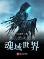 第九藝術(shù)之書(shū)魂域世界