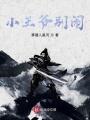 小王爺別鬧
