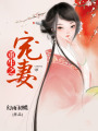 重生之寵妻