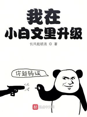 我在小白文里升級