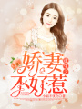 重生之嬌妻不好惹