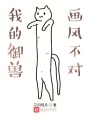 我的御獸畫(huà)風(fēng)不對(duì)