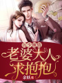 厲少纏情：老婆大人求抱抱