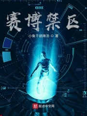 賽博禁區
