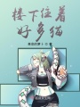 楼下住着好多猫