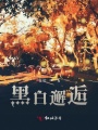黑白邂逅