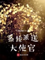 系統派送大使官