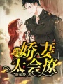 閃婚蜜寵，嬌妻太會撩