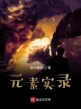 元素實(shí)錄